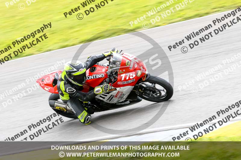 PJ Motorsport 2019;anglesey no limits trackday;anglesey photographs;anglesey trackday photographs;enduro digital images;event digital images;eventdigitalimages;no limits trackdays;peter wileman photography;racing digital images;trac mon;trackday digital images;trackday photos;ty croes